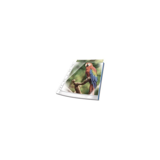 DURABLE Pochette perforée PREMIUM, A4, PP, bord bleu
