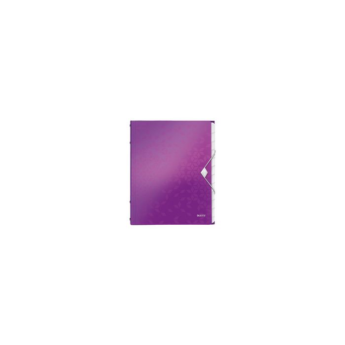LEITZ Chemise de rangement WOW, A4, PP, violet