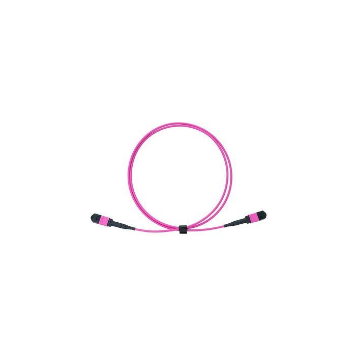 LogiLink Câble patch MPO, 12 fibres, Multimode, OM4, 1 m