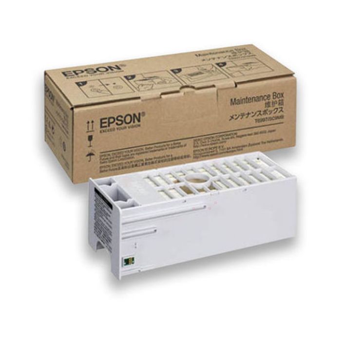 Boîte d'encre restant d'origine Epson C13T699700 / T6997