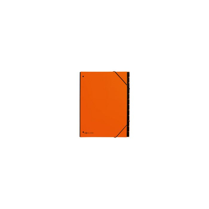 PAGNA Trieur Trend, A4, 10 compartiments, orange