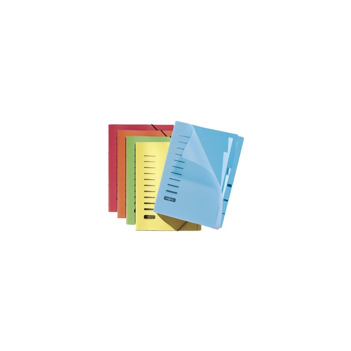 PAGNA Trieur, A4, PP, 6 compartiments, assorti x5