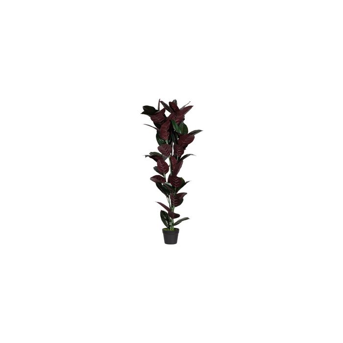 PAPERFLOW Plante artificielle "caoutchouc", hauteur 1.200 mm
