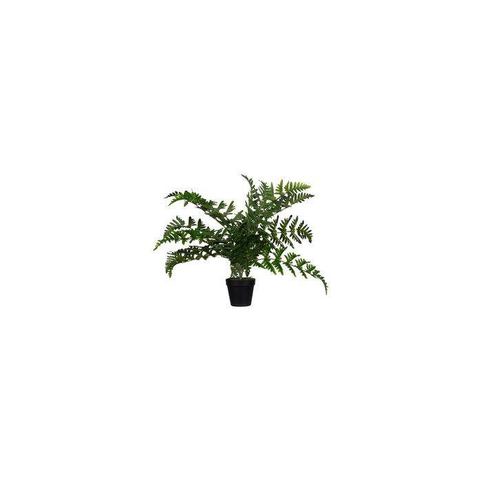 PAPERFLOW Plante artificielle "fougère", hauteur: 550 mm