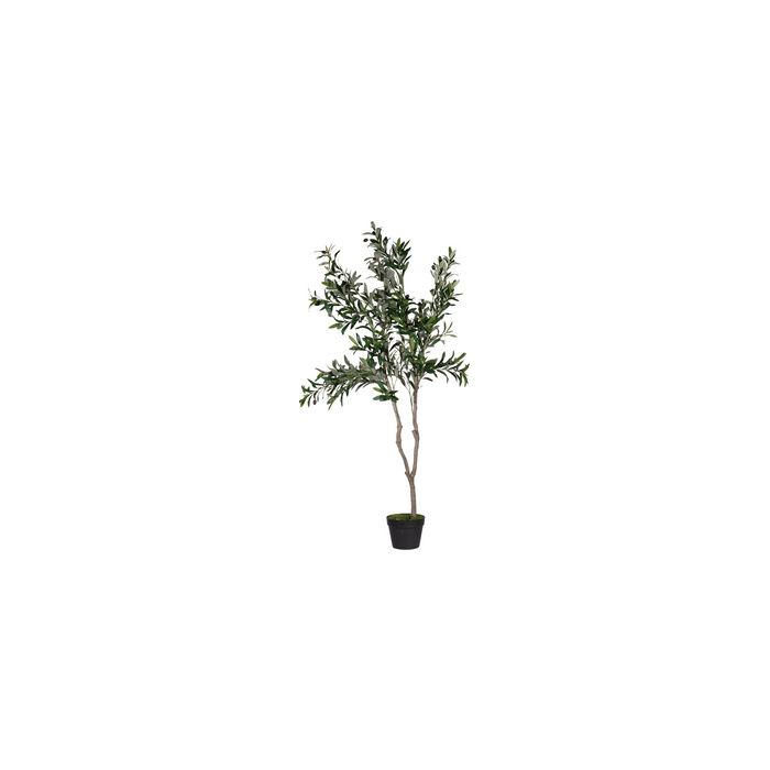 PAPERFLOW Plante artificielle "olivier", hauteur: 1.550 mm