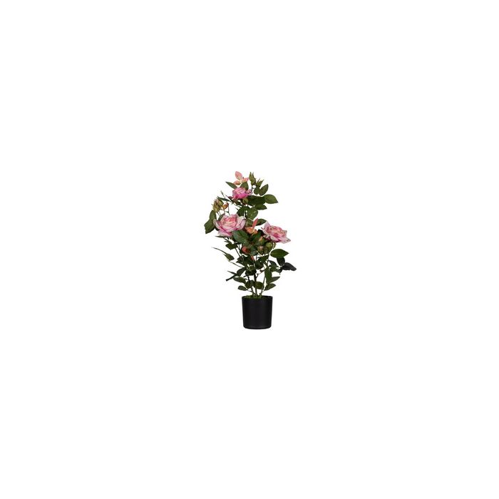 PAPERFLOW Plante artificielle "rosier", (H)540 mm, rose