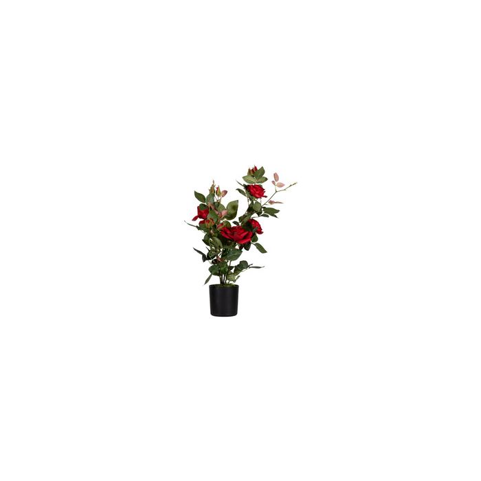 PAPERFLOW Plante artificielle "rosier", (H)540 mm, rouge