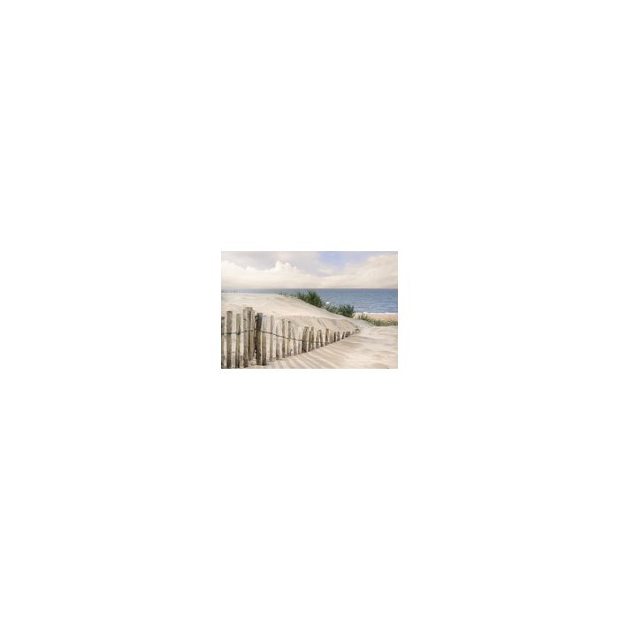 PAPERFLOW Poster mural "Dunes", en plexiglas
