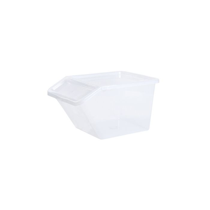 Plast team Bac de rangement BASIC BOX SLANTED, 40 litres