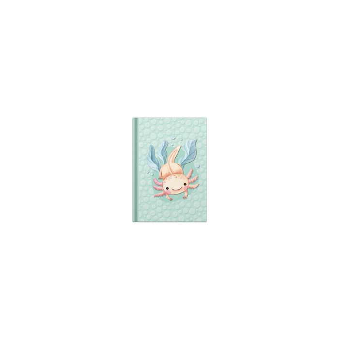 RNK Verlag Carnet de notes "Axolotl", A5, 96 feuilles