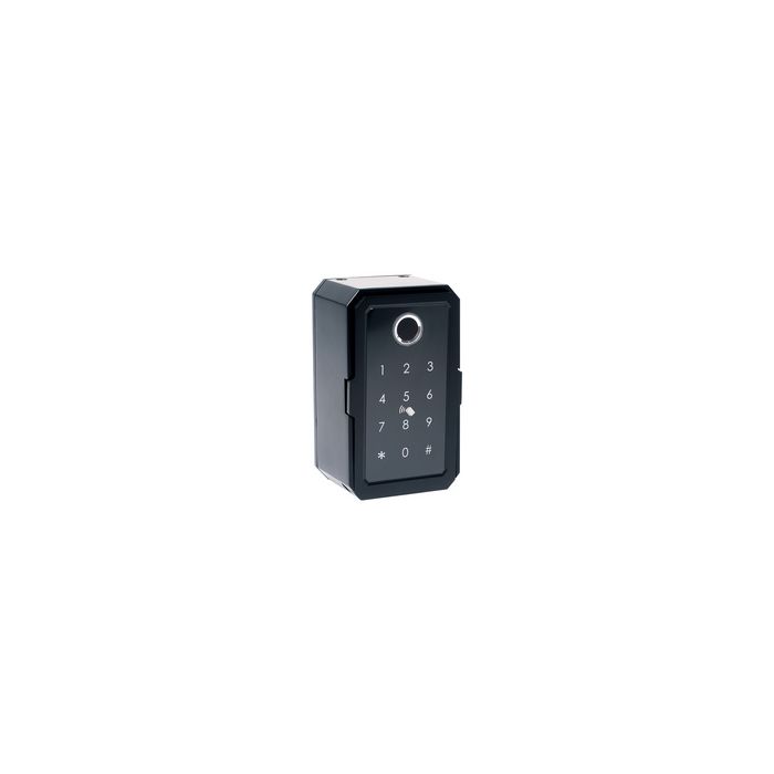 pavo Mini-coffre à clé Advanced, pour 1 clé, noir
